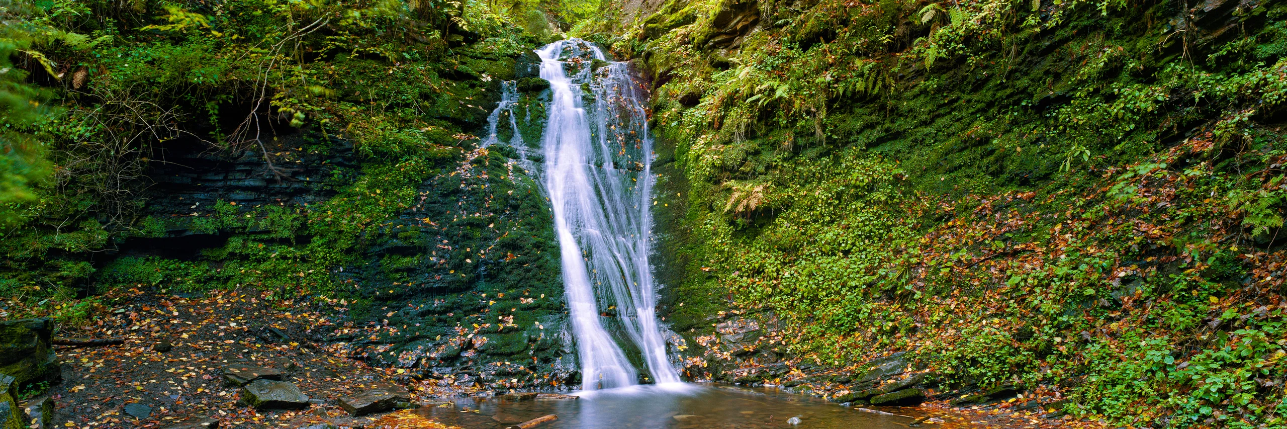 Waterfall flowing over dark stepped rock into a pool amid moss, ferns, dense greenery and scattered autumn leaves.